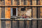 Customize-it - Fiets rood 130x70cm Tuinschilderij