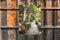 Customize-it - Flower alley 50x70cm Tuinschilderij