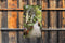 Customize-it - Flower Alley 70x130cm Tuinschilderij