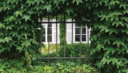 Customize-it - Hedera 130x70cm Tuinschilderij