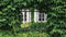 Customize-it - Hedera 130x70cm Tuinschilderij