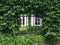 Customize-it - Hedera 70x50cm Tuinschilderij