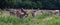 Customize-it - Herten bos 130x50cm Tuinschilderij