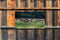 Customize-it - Herten Bos 130x70cm Tuinschilderij