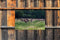 Customize-it - Herten bos 140x90cm Tuindoek