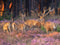 Customize-it - Herten in heide 70x50cm Tuinschilderij