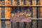 Customize-it - Herten in heide 70x50cm Tuinschilderij