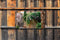Customize-it - Italiaanse steeg 130x70cm Tuinschilderij