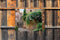 Customize-it - Italiaanse steeg 70x50cm Tuinschilderij