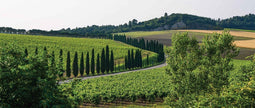 Customize-it - Italie natuur 130x50cm Tuinschilderij