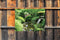 Customize-it - Japan 70x50cm Tuinschilderij