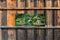 Customize-it - Japanse tuin 130x50cm Tuinschilderij
