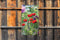 Customize-it - Klaprozen wild 70x130cm Tuinschilderij