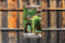Customize-it - Klimop poes 70x130cm Tuinschilderij