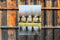 Customize-it - Knotwilgen 50x70cm Tuinschilderij