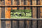 Customize-it - Koeien 130x50cm Tuinschilderij