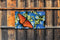 Customize-it - Koningsvlinder 130x70cm Tuinschilderij
