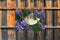 Customize-it - Koolwitje op lavendel 70x50cm Tuinschilderij