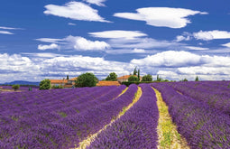 Customize-it - Lavendel 140x90cm Tuindoek