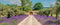 Customize-it - Lavendel deur 130x50cm Tuinschilderij