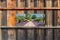 Customize-it - Lavendel deur 130x50cm Tuinschilderij