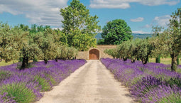 Customize-it - Lavendel deur 130x70cm Tuinschilderij