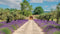 Customize-it - Lavendel deur 130x70cm Tuinschilderij