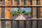 Customize-it - Lavendel deur 130x70cm Tuinschilderij