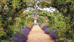Customize-it - Lavendel tuin 130x70cm Tuinschilderij