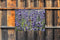 Customize-it - Lavendel wesp 70x50cm Tuinschilderij