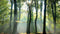 Customize-it - Lichtinval in bos 130x70cm Tuinschilderij