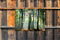 Customize-it - Lichtinval in bos 70x50cm Tuinschilderij