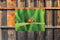 Customize-it - Lieveheersbeestje 70x50cm Tuinschilderij
