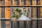 Customize-it - lijst hout steeg trap 140x90cm Tuindoek