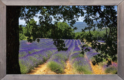 Customize-it - lijst ht lavendelveld 140x90cm Tuindoek