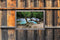Customize-it - lijst ht waterval bos 140x90cm Tuindoek