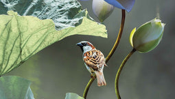 Customize-it - Lotus mus 130x70cm Tuinschilderij