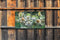 Customize-it - Lotusbloemen 130x70cm Tuinschilderij