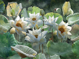Customize-it - Lotusbloemen 70x50cm Tuinschilderij