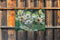 Customize-it - Lotusbloemen 70x50cm Tuinschilderij