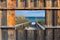 Customize-it - Maritime lane 140x90cm Tuindoek
