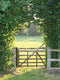 Customize-it - Meadow 50x70cm Tuinschilderij