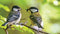 Customize-it - Mezen 130x70cm Tuinschilderij