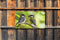 Customize-it - Mezen 130x70cm Tuinschilderij