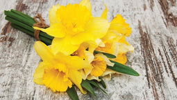Customize-it - Narcis bosje 130x70cm Tuinschilderij