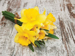 Customize-it - Narcis bosje 70x50cm Tuinschilderij