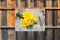 Customize-it - Narcis bosje 70x50cm Tuinschilderij