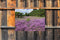 Customize-it - Paars heideveld 70x50cm Tuinschilderij
