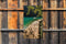 Customize-it - Pad langs meer 70x130cm Tuinschilderij