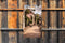 Customize-it - Parijs 70x130cm Tuinschilderij